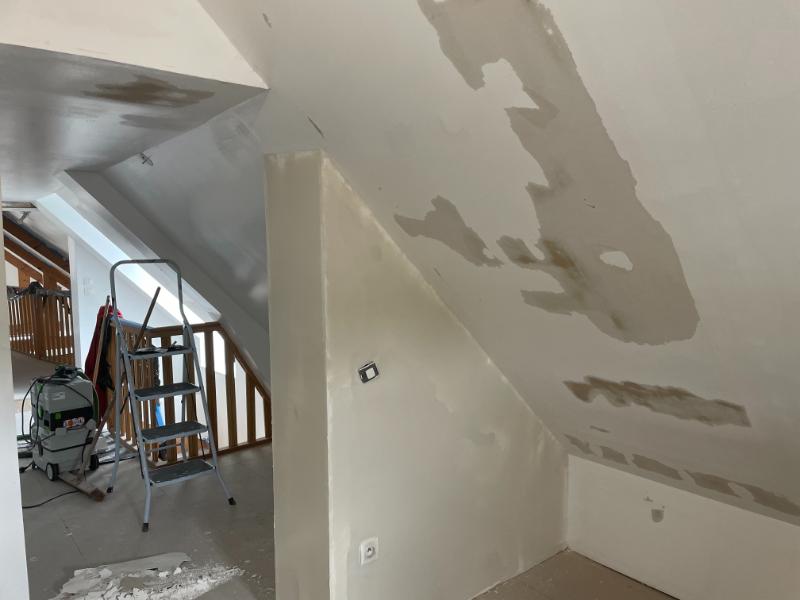 Photo chantier Peinture et Finitions Salon